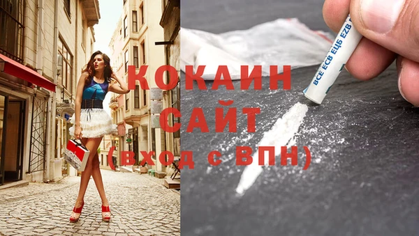 индика Иннополис