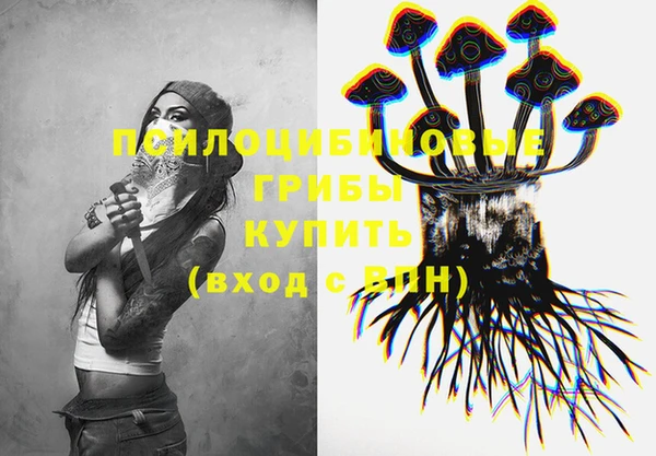 индика Иннополис