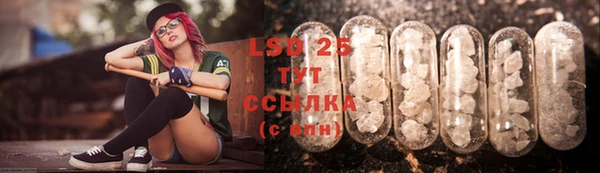 эйфоретик Инта