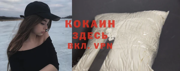 индика Иннополис