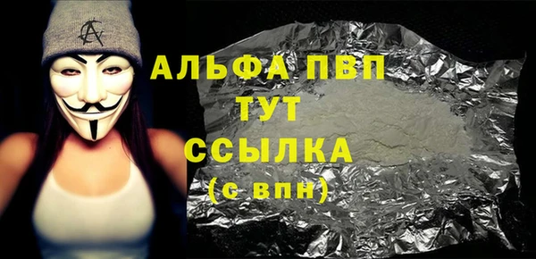 индика Иннополис