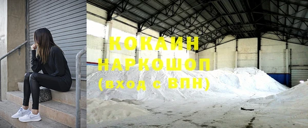 индика Иннополис