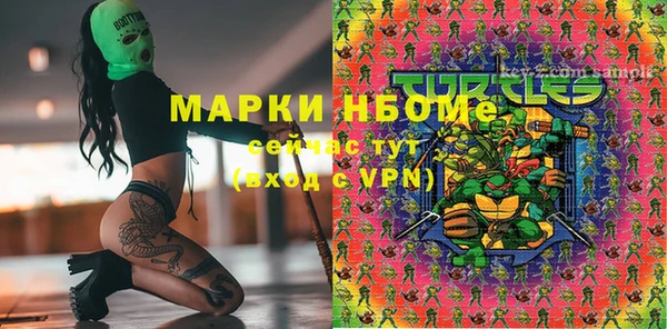 эйфоретик Инта