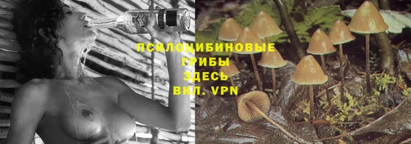 эйфоретик Инта