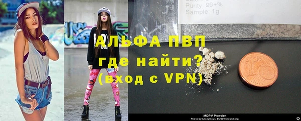 эйфоретик Инта