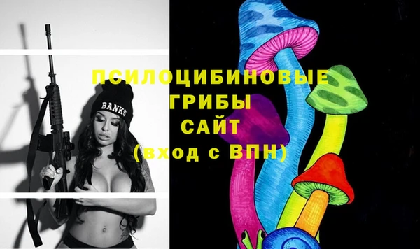 индика Иннополис