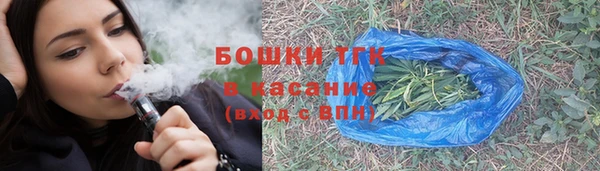 индика Иннополис