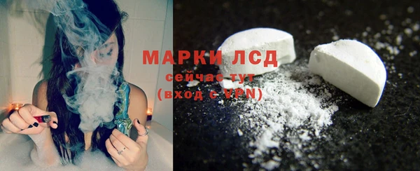 индика Иннополис